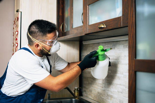 Best Affordable Pest Control Services  in Cecil Bishop, PA