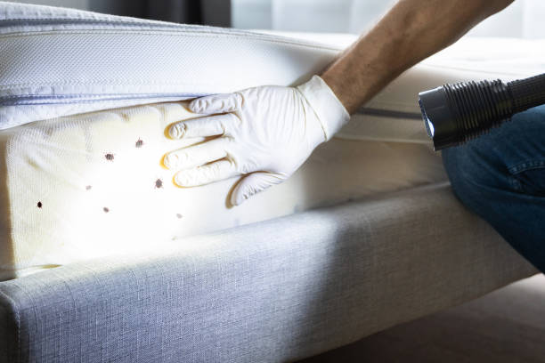 Best Wildlife Control Services  in Cecil Bishop, PA