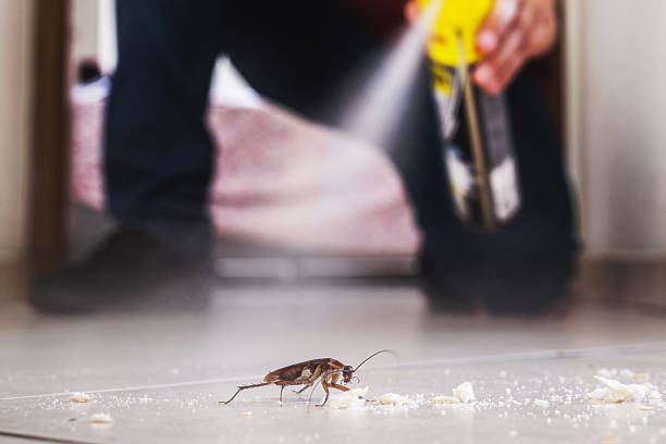 Best Cockroach Control Services  in Cecil Bishop, PA